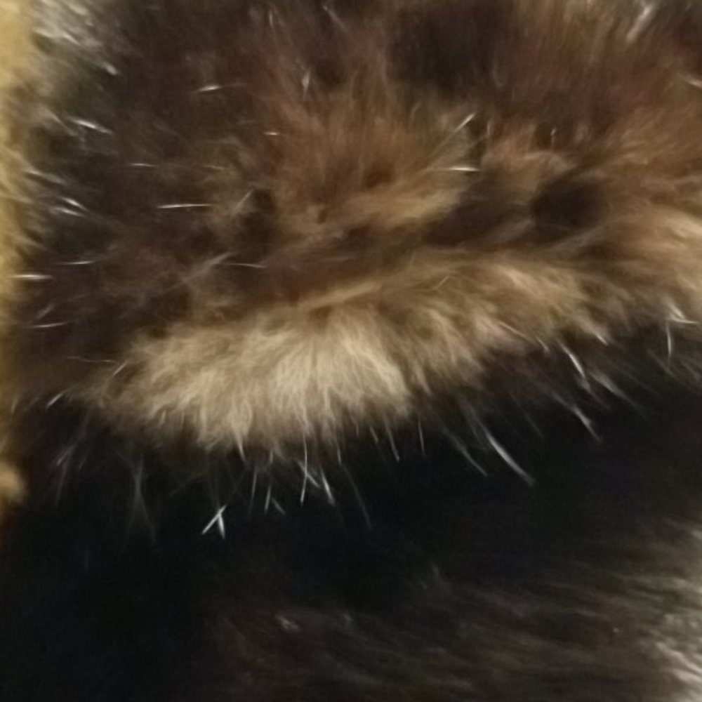 Mink Jacket/Belt Not Included - Picture 6 of 16